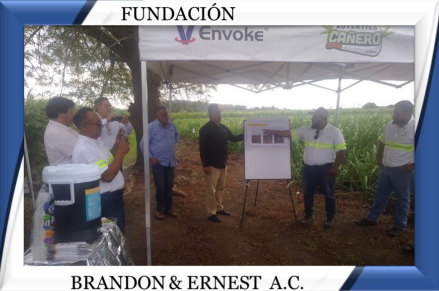 REUNION PROYECTO FUNDACION