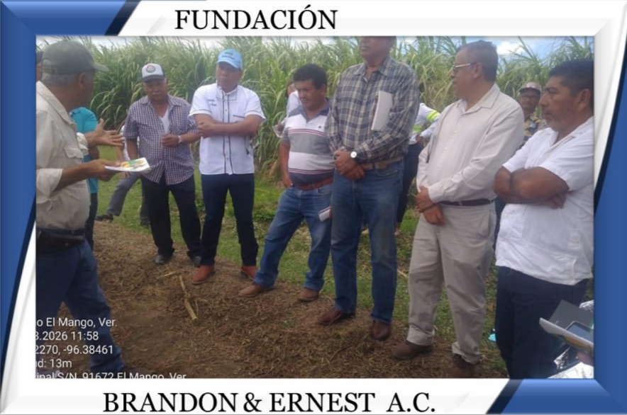 REUNION PROYECTO FUNDACION 4