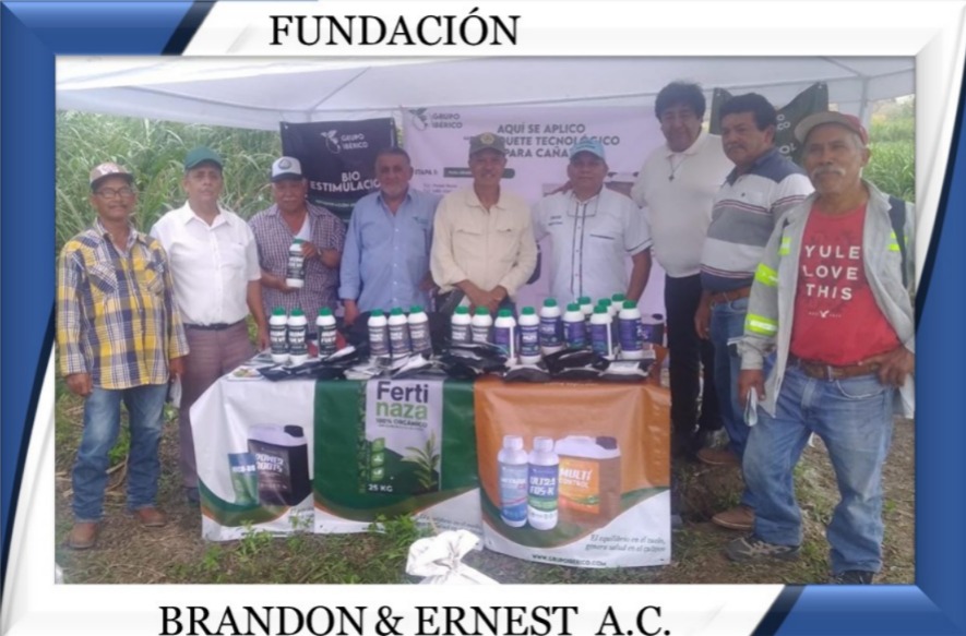 REUNION PROYECTO FUNDACION 5