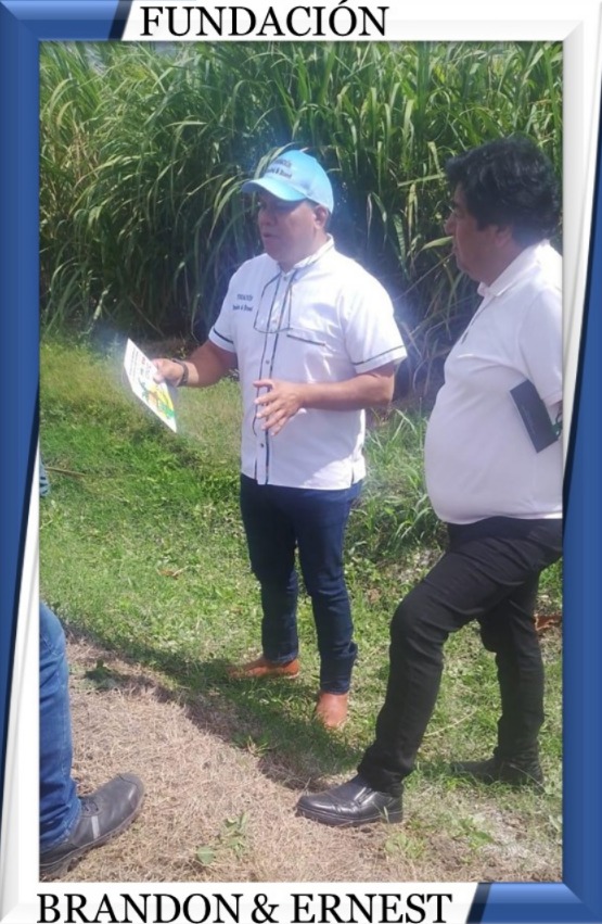 REUNION PROYECTO FUNDACION 6