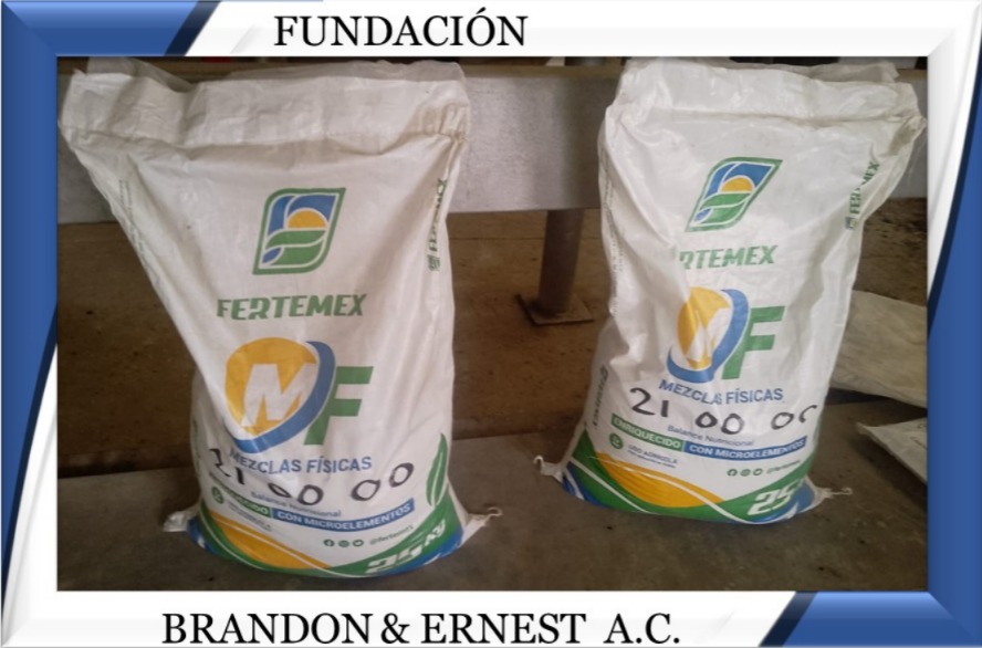 Visita Grupo Iberico