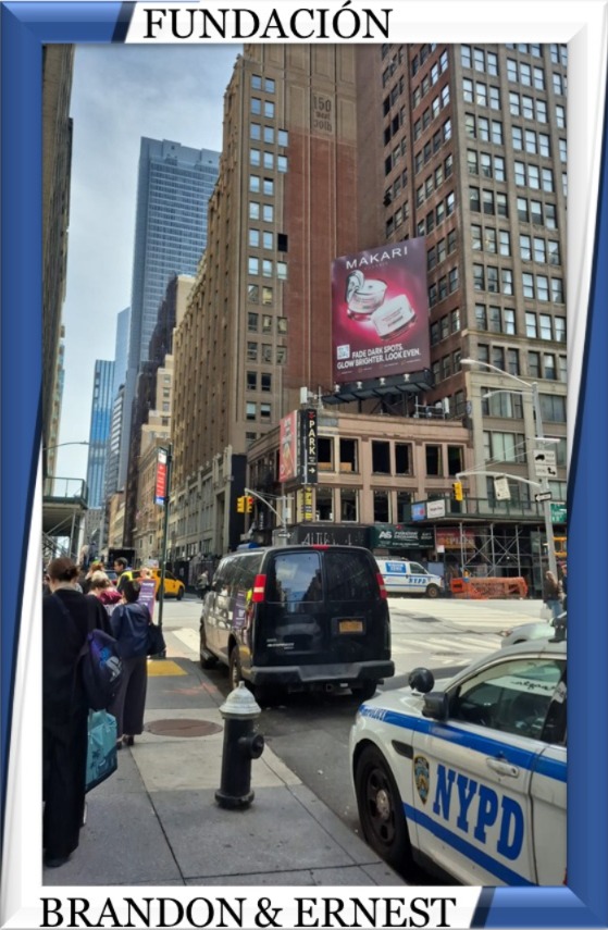 NUEVA YORK 6